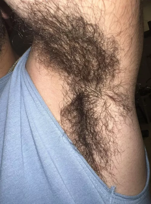 Man scent by Kindly_Language8601