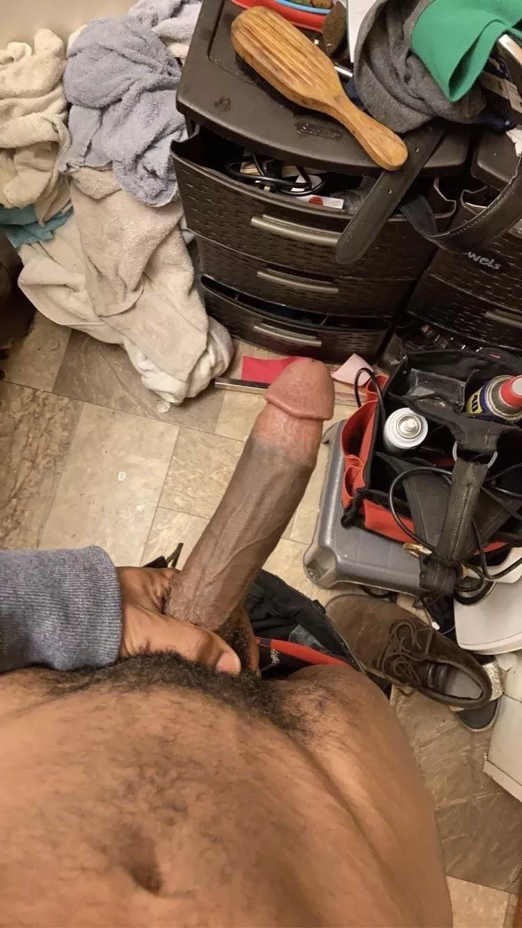 Sandwich 😏 posted by Mammoth_Ad_4647