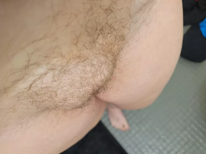 Should I trim it up, or grow it out?! by sarahsaurusrexxx