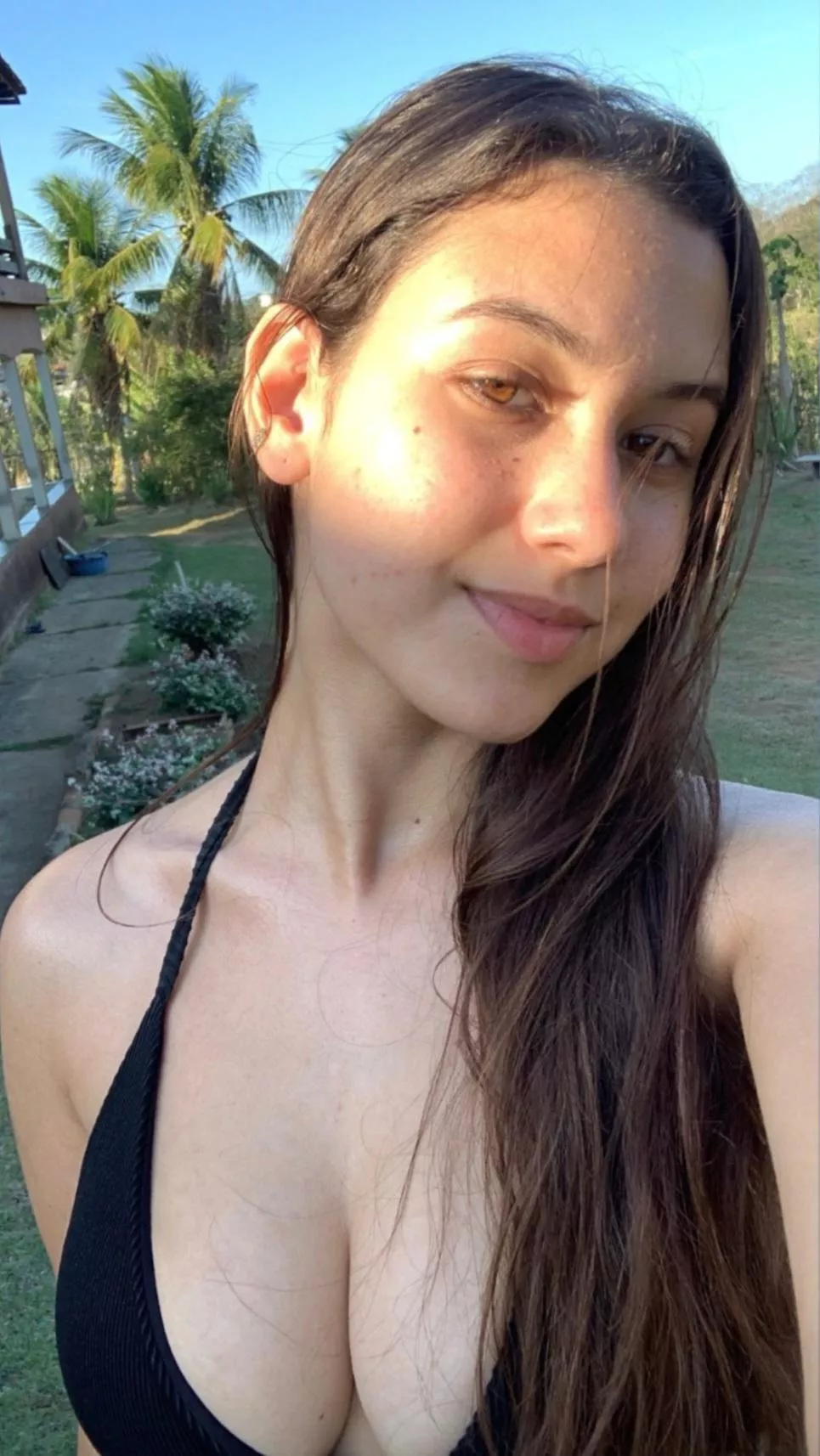 Sunlight posted by Important-Site-9350