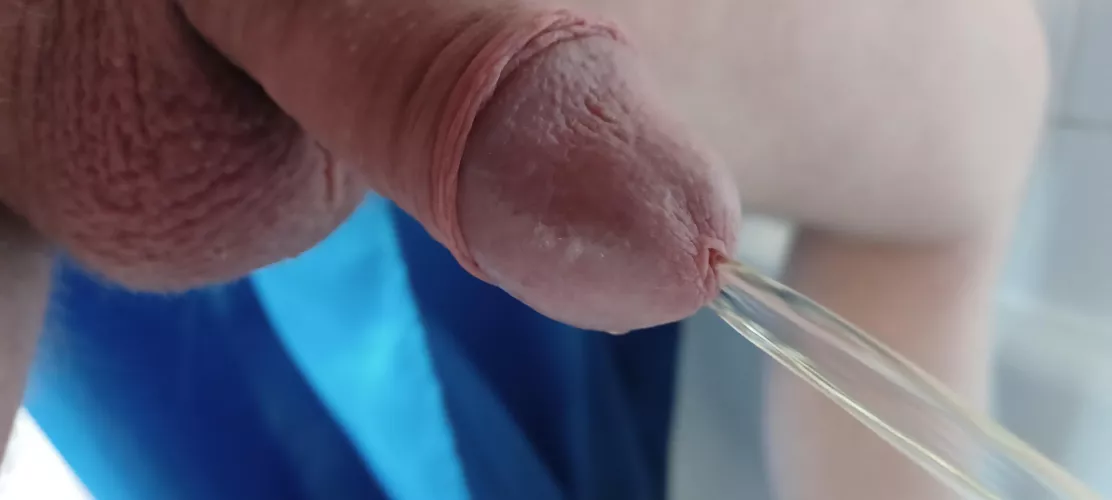 The days first piss by mr-him-husband