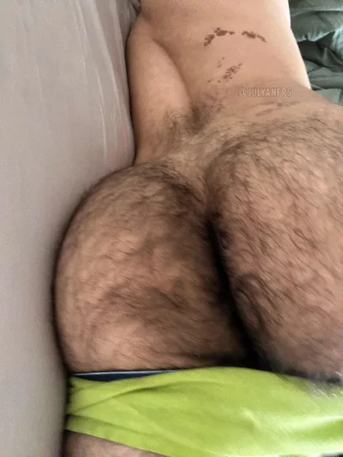 the hairiest ass I’ve ever seen lol by julyanfps