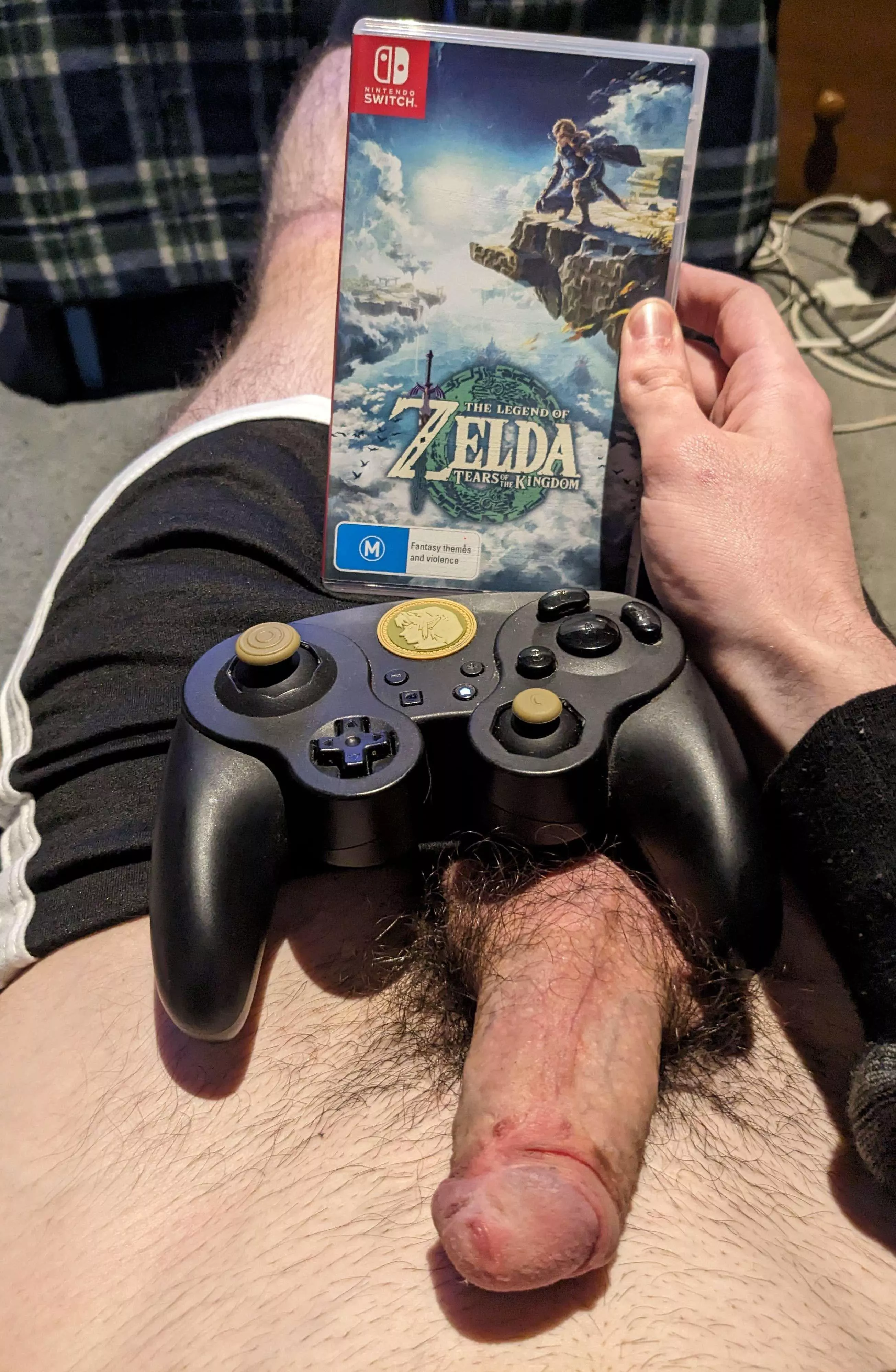Time for some Zelda! posted by MichaelRavens