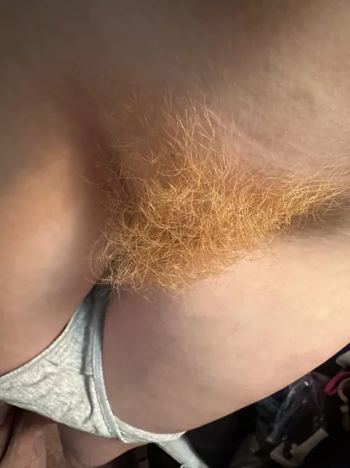 Too furry? by Spirited-Aerie-3325