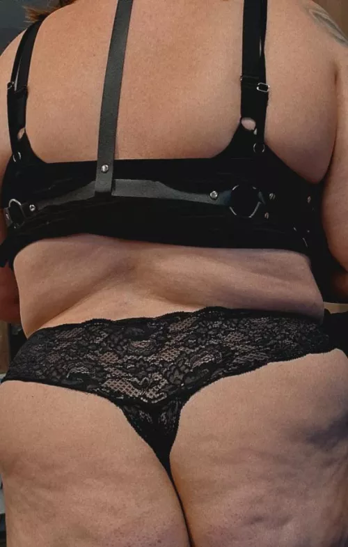 Trying out my new harness, not sure if it looks better from the front or back.. by sossa1011