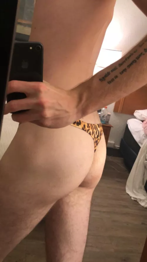 Cheetah print 👀 by Austin_Wednesday