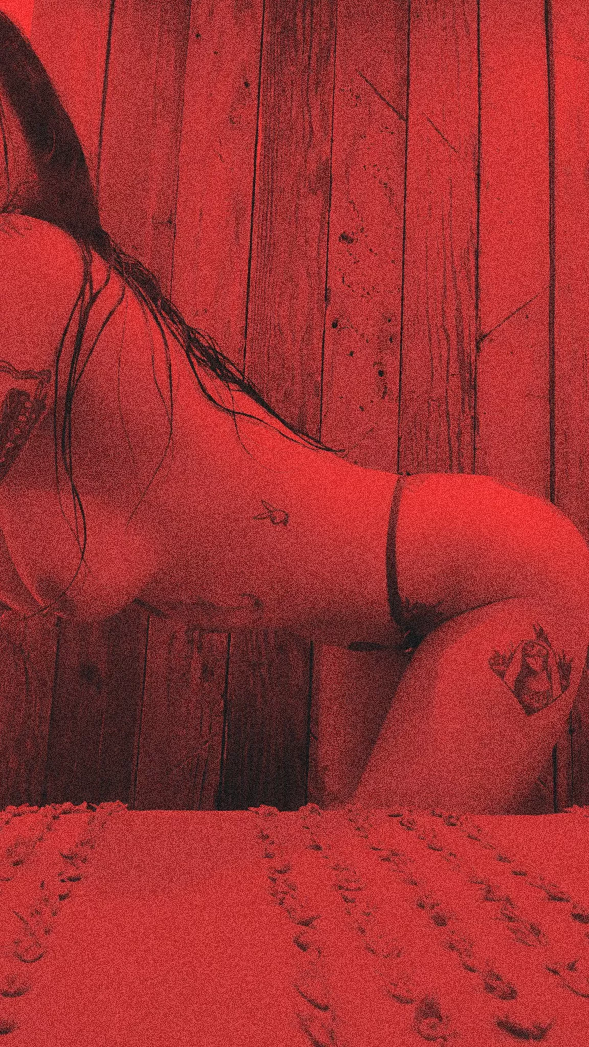 Come play in my red room 🌹🖤🦇 posted by Limp_Trifle_9832