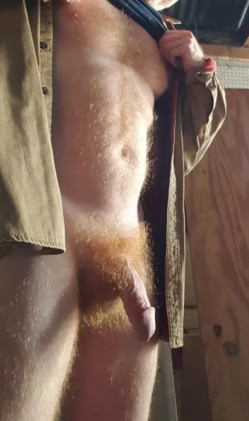 Do you like my ginger fur? by Seahawks_Fan12