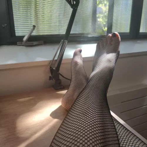 Fishnets make any feet look good by bbfemboi