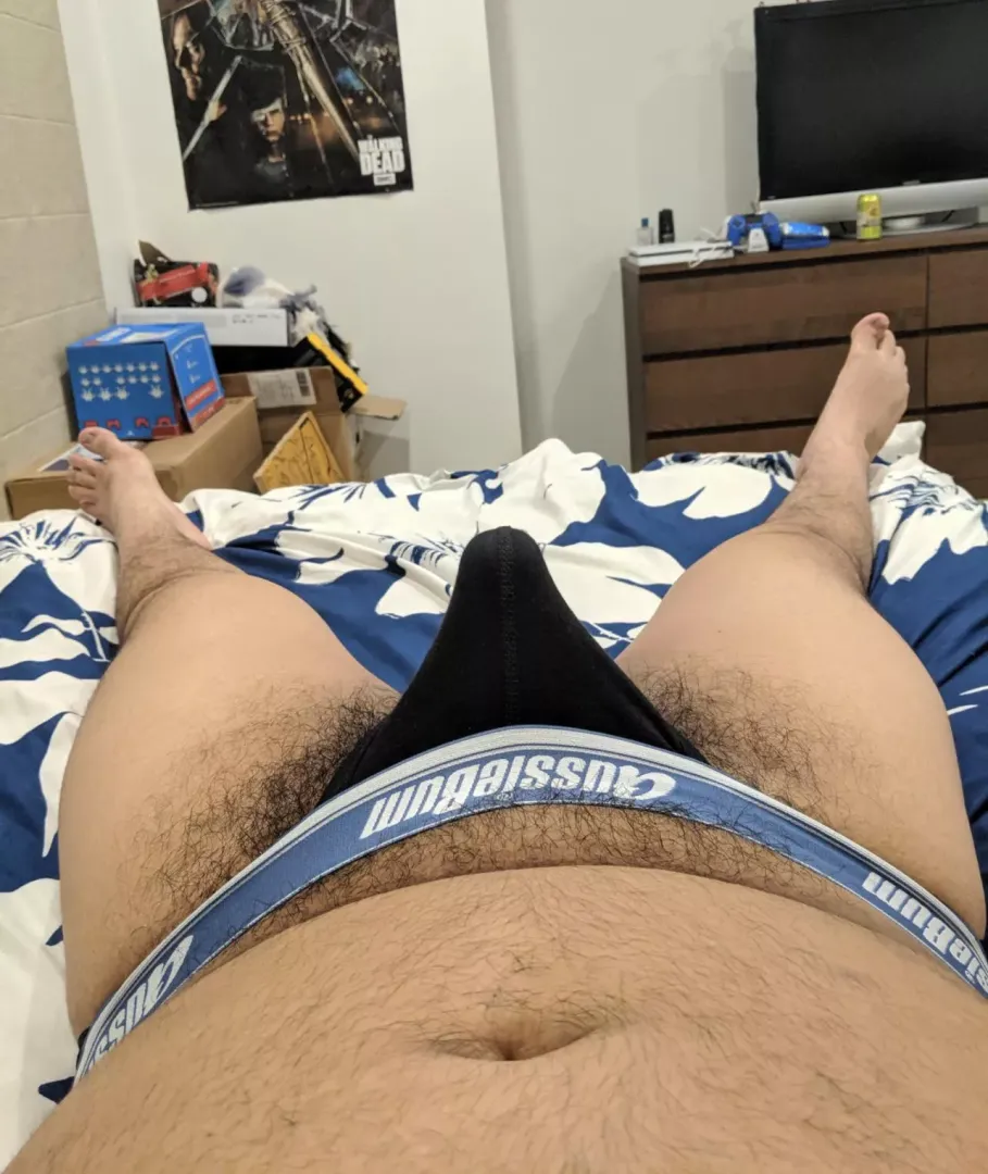 free the beast? 🥵 posted by HornyCub699