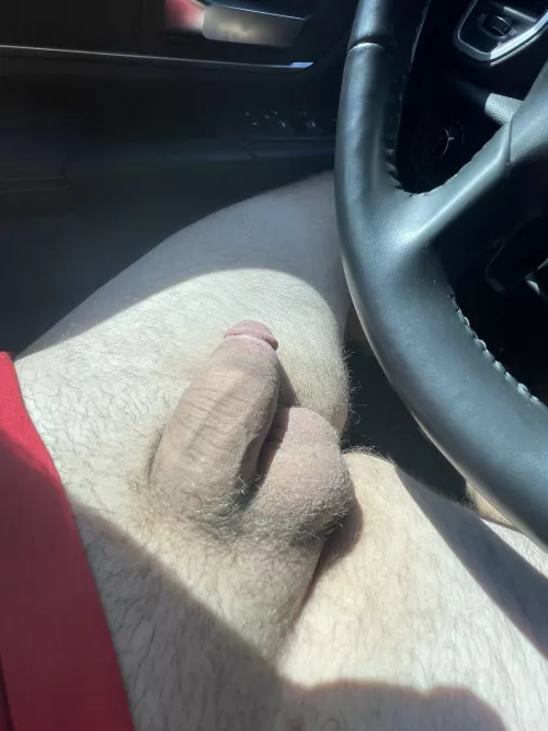 Getting some sun by fielder1992