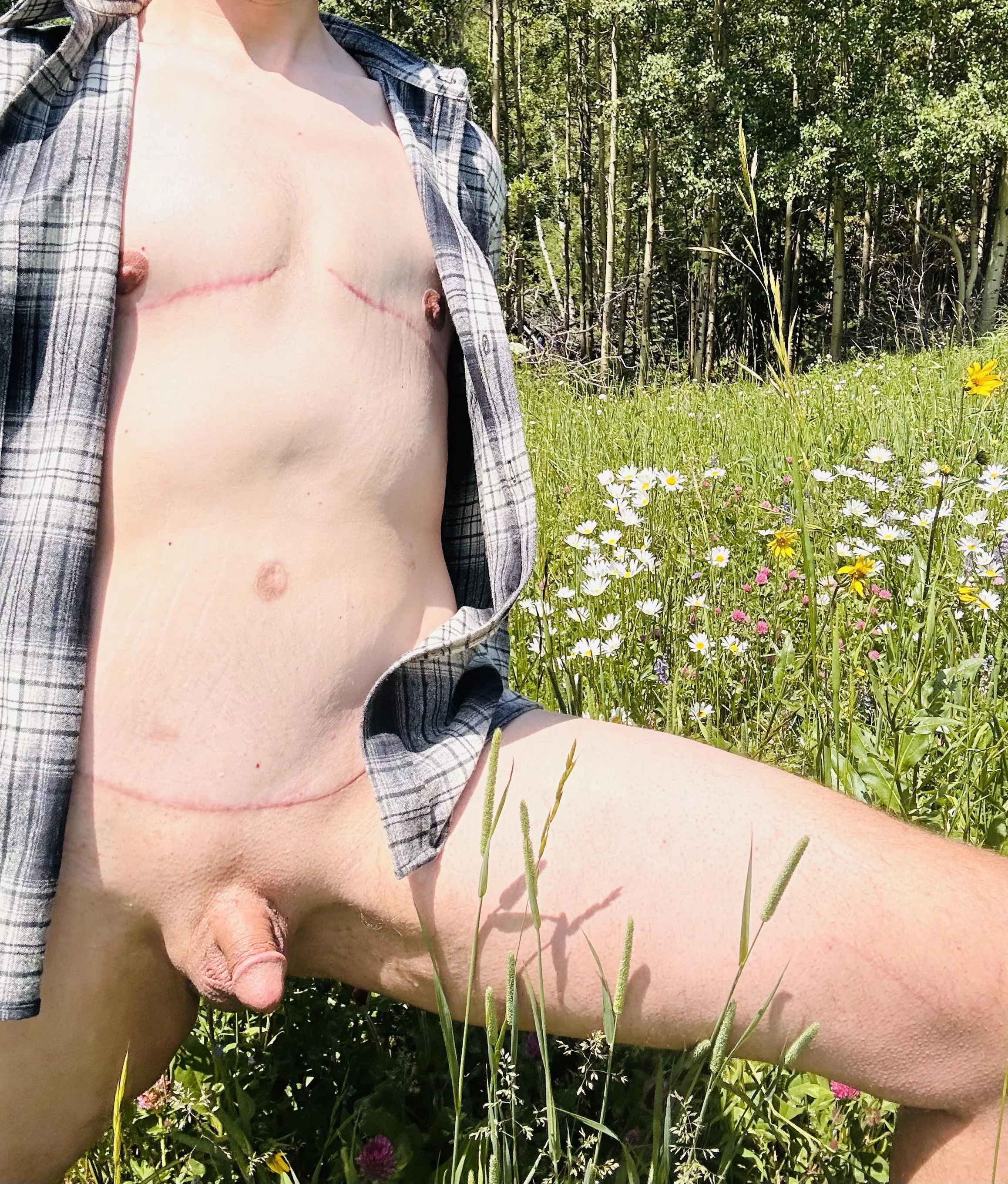 I love a cabin in the Colorado Rockies. I’d love to bring other friends posted by Rhino-Bear