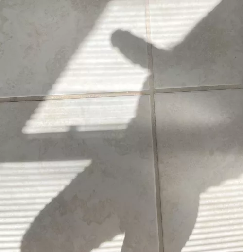 Morning Light by Fun_Wrangler6149