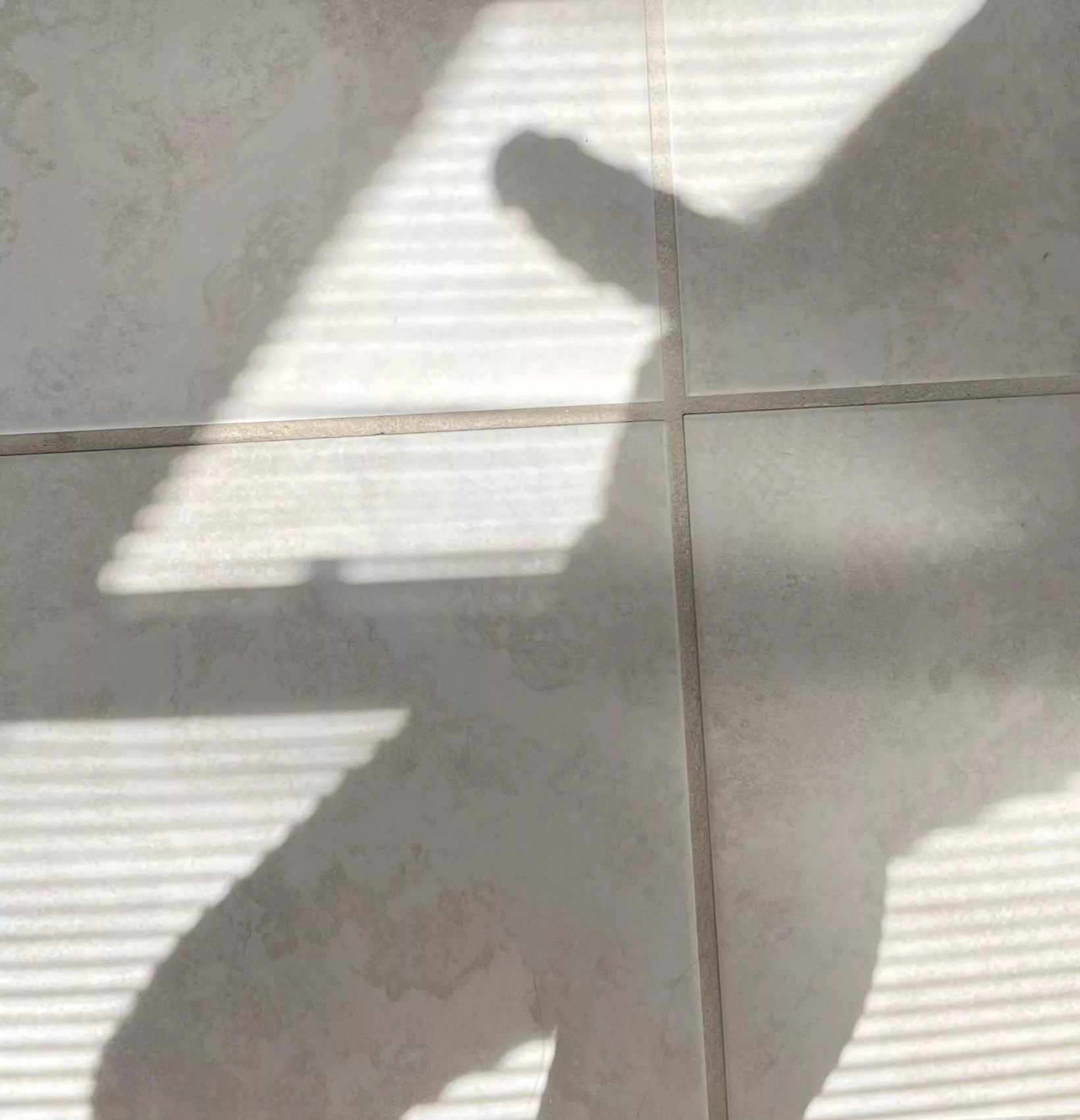 Morning Light posted by Fun_Wrangler6149