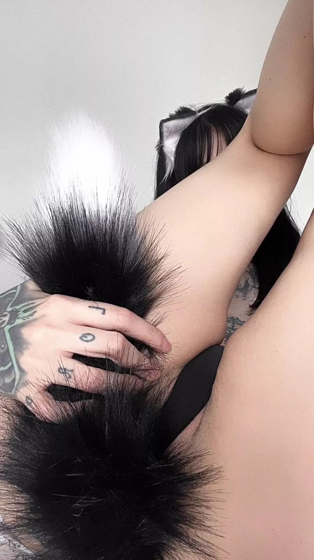 ready for playtime 🐾 posted by Ce_Luna