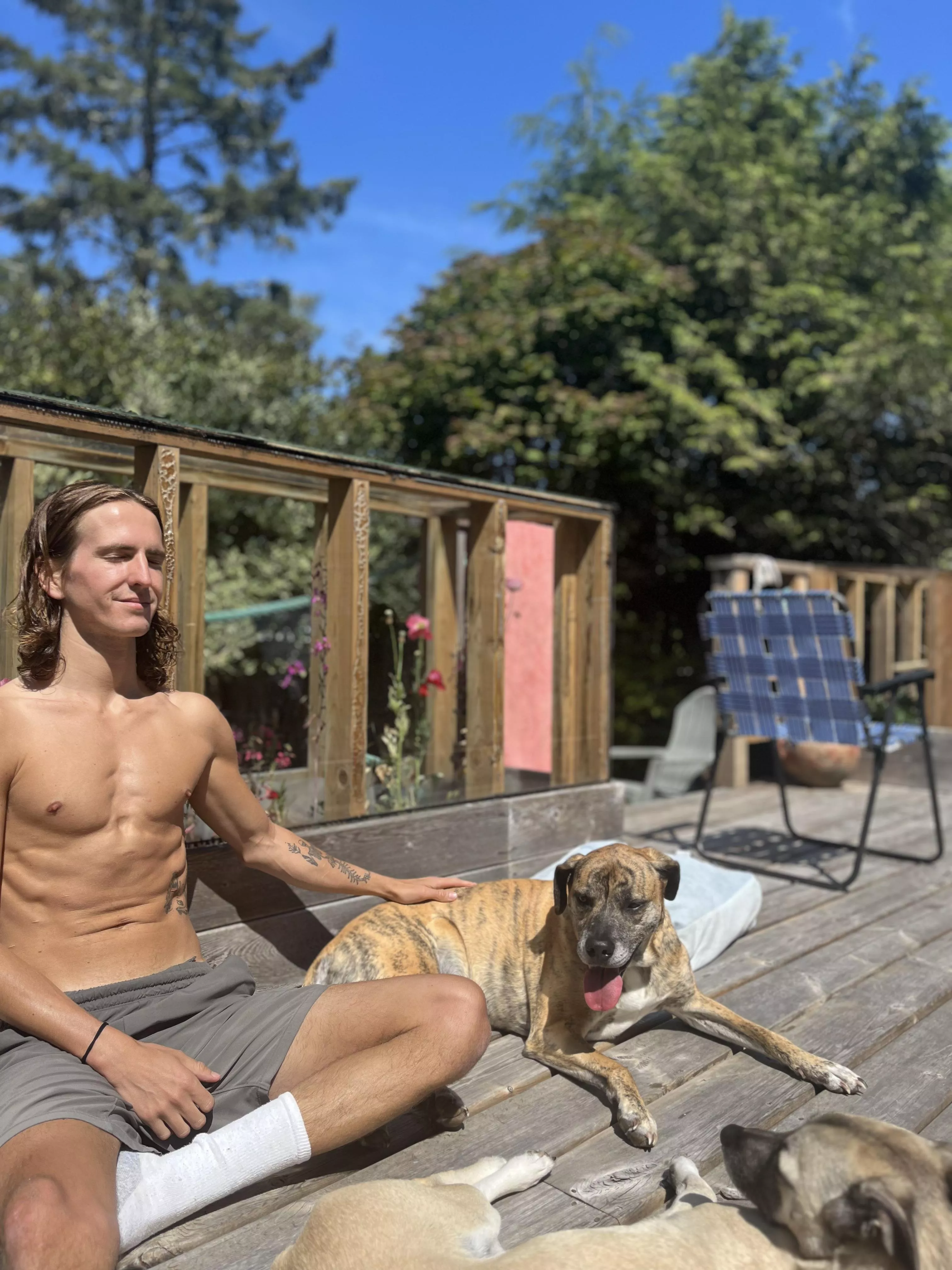 Who let the dogs out? posted by NavyBwue