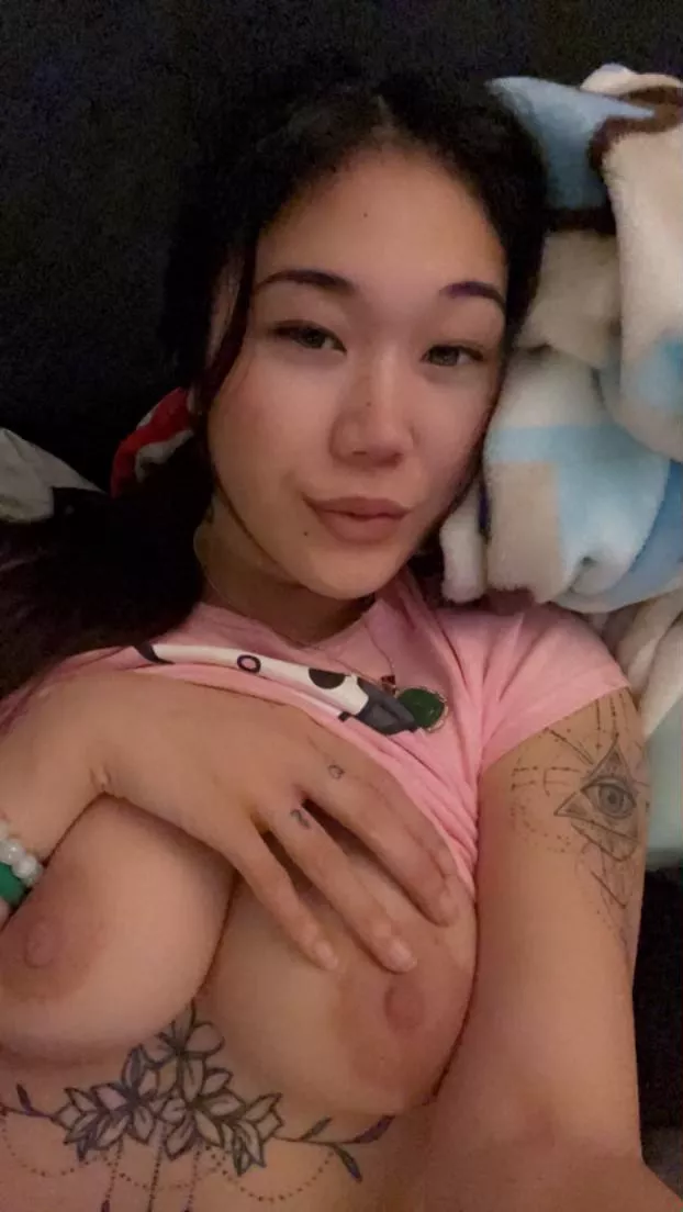 would you lick them gently, if i asked? posted by yesimlingling