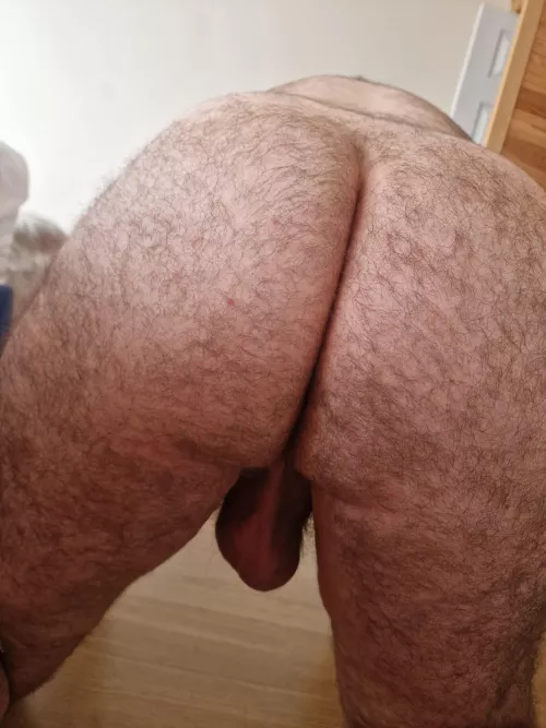 Beary dad 👀 for a seat… by ForestBear2023