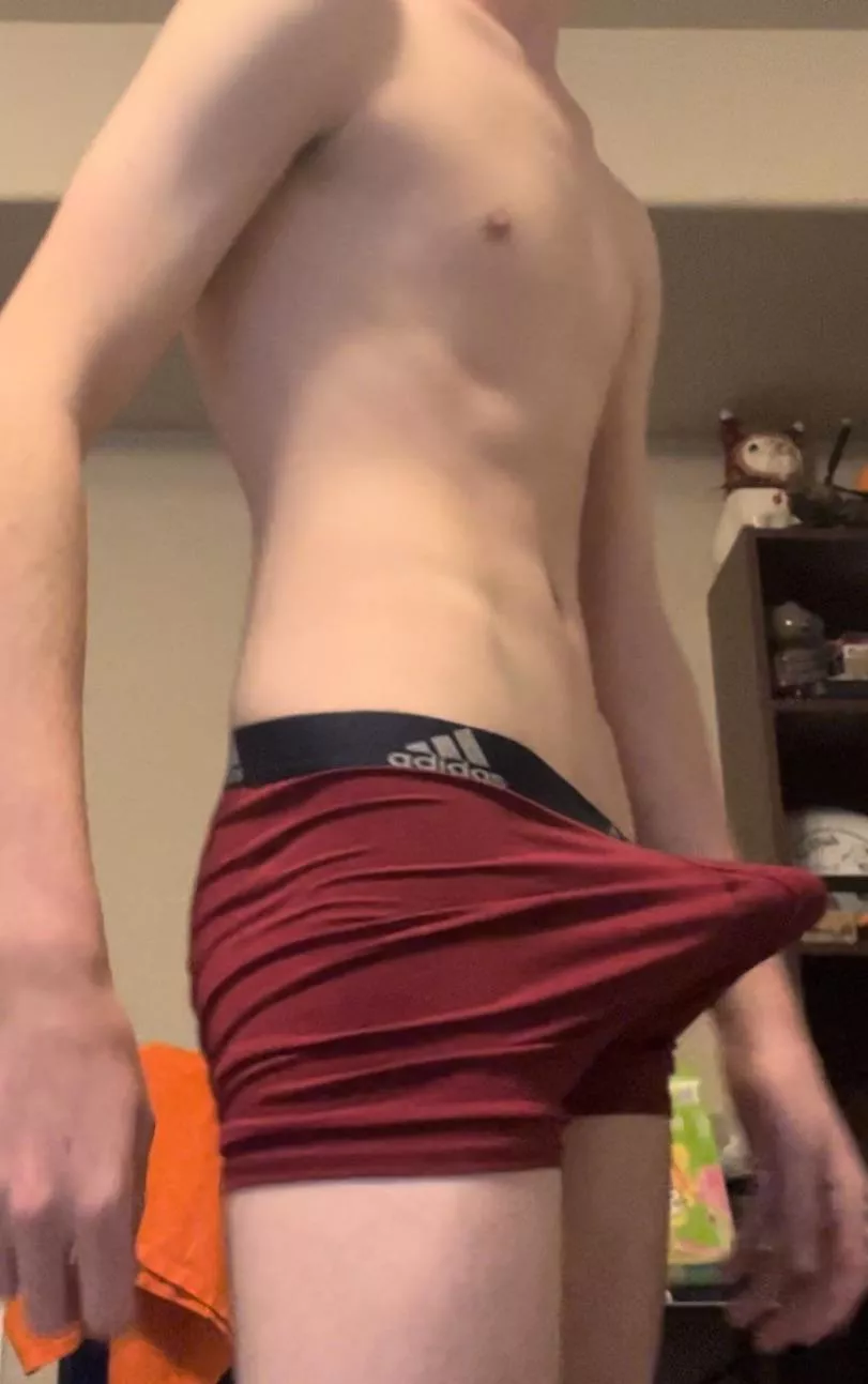 First post here….any suggestions? posted by ObeseHippos