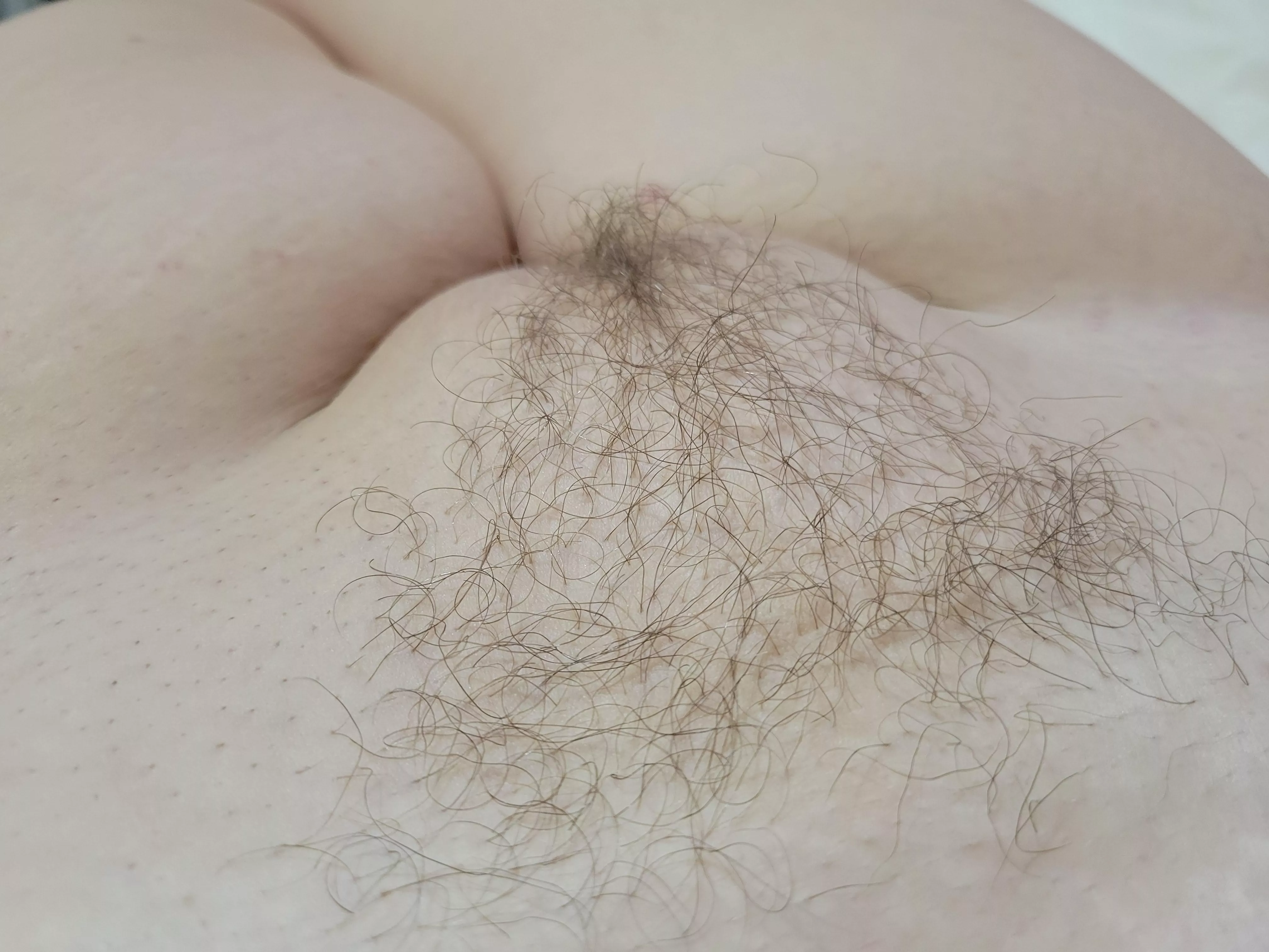 Hairy little triangle! posted by sarahsaurusrexxx