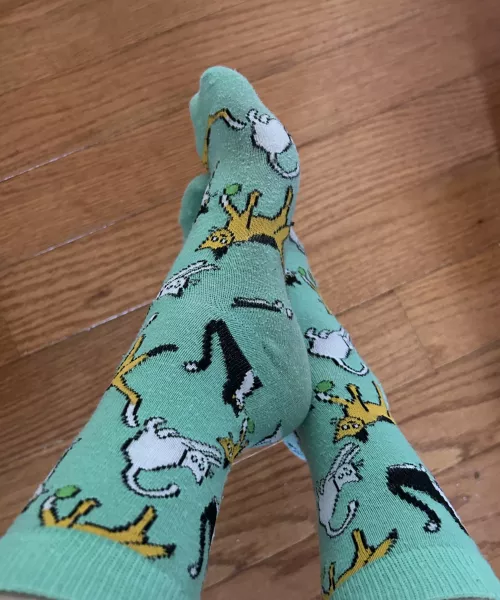 Kitty socks - OC 29F by BettermentForMoi