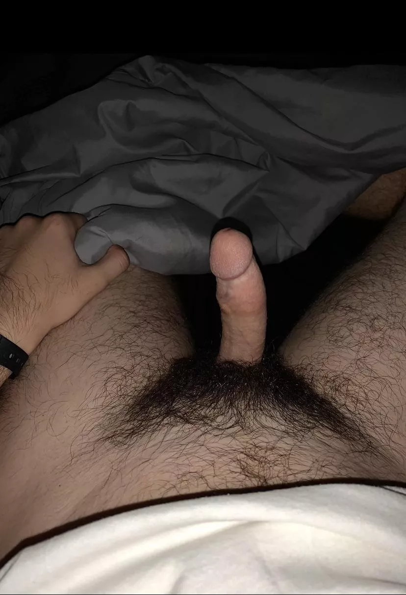 should I shave? (18) posted by Hot-Tour-1773