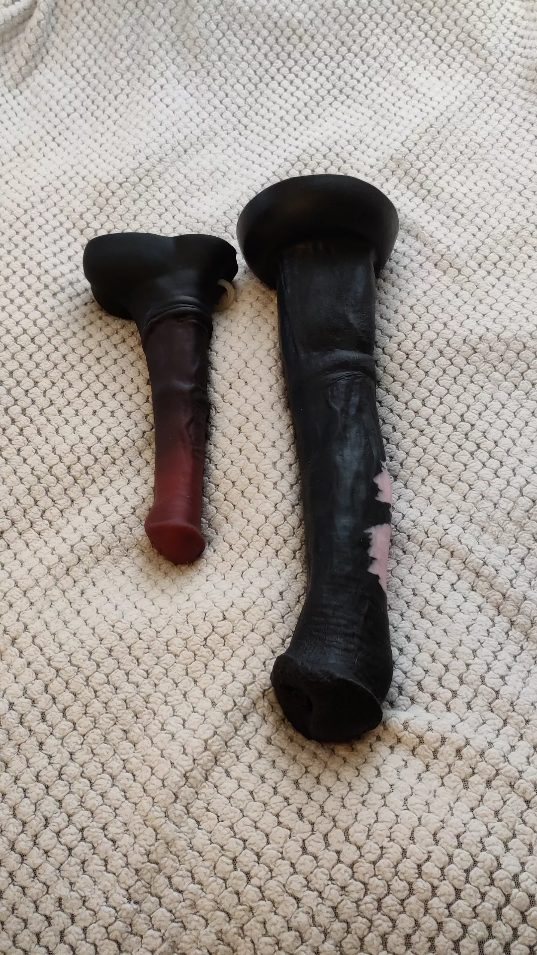 A new challenger has arrived 😈 posted by NovaTheKnotty