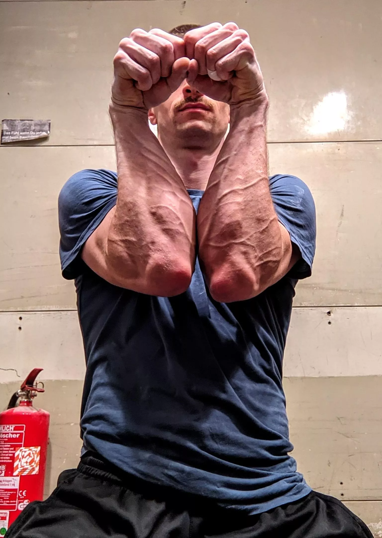 Da praying mantis posted by bookehuck