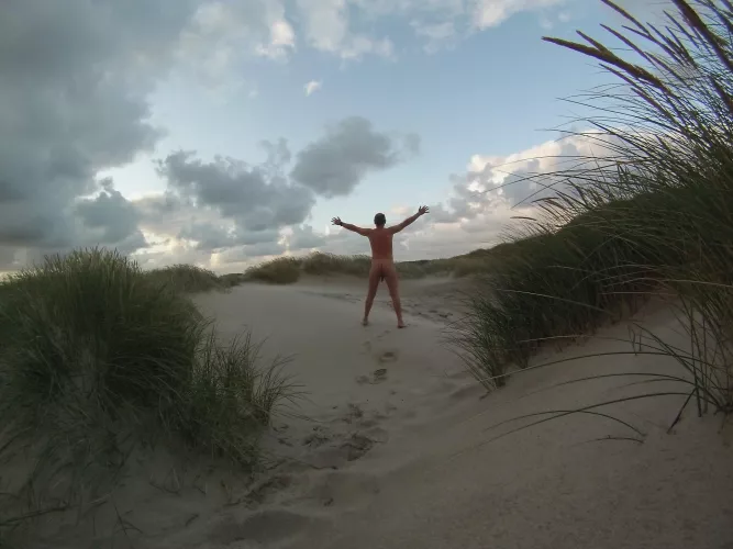 on a chilly summer morning in the dunes by ImaginaryMolasses894