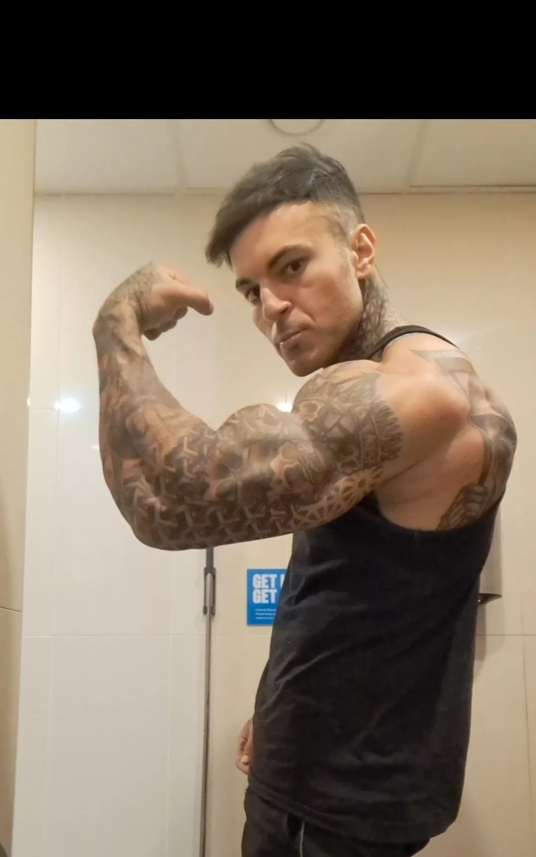 Your British alpha is ready for you ;) posted by bahamianDowel769