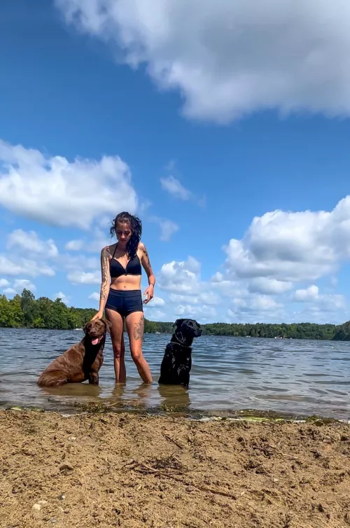 Beach day with the dogs by brookemarie522