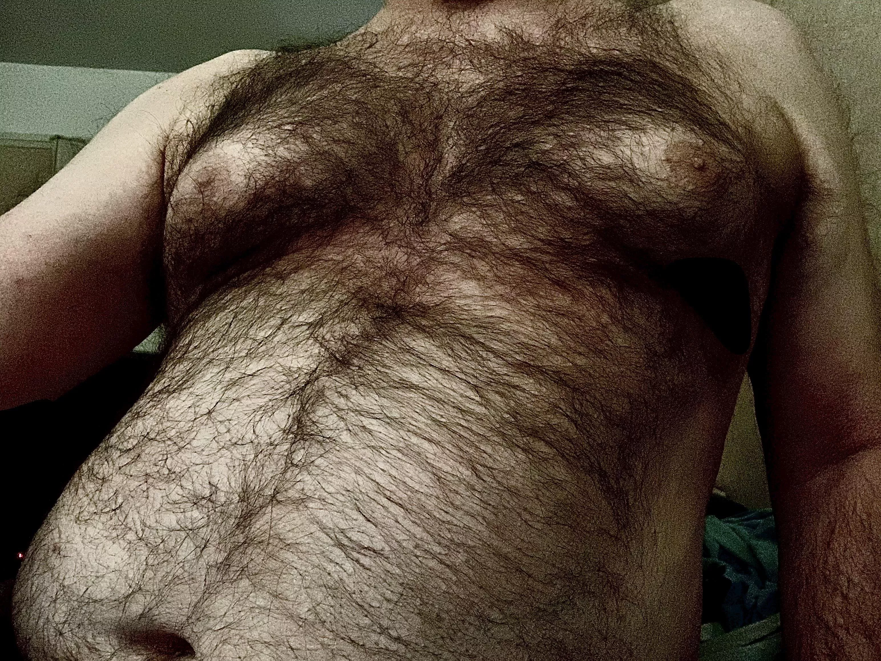 Hairy chest posted by Robnor122