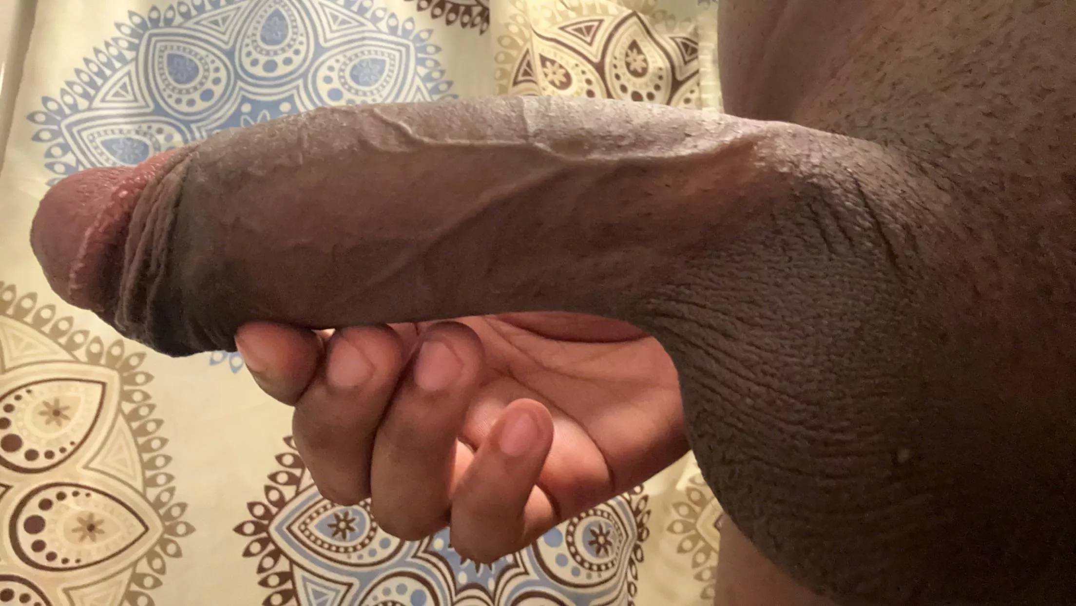 He doesn’t bite, but he may poke a little posted by FriendlyAnaconda