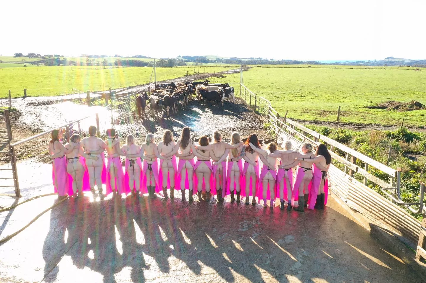 Heifers rounding up heifers.. posted by Gthang21220