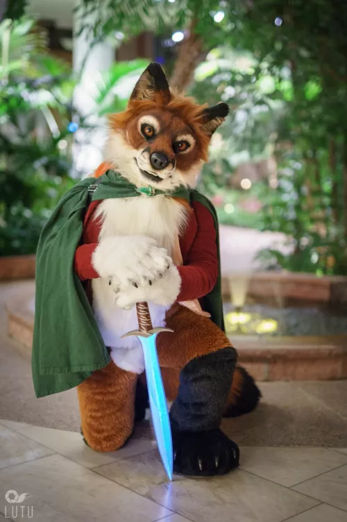 The Fellowship by Previous-Attempt-415