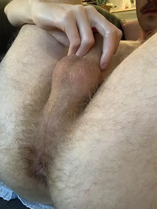 23, college guy, trying to get used to playing with my ass by lostinphysics100