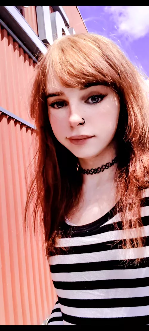 Fall is almost here 🦇🍁🕷️🕸️ by Anastasia_Motionless