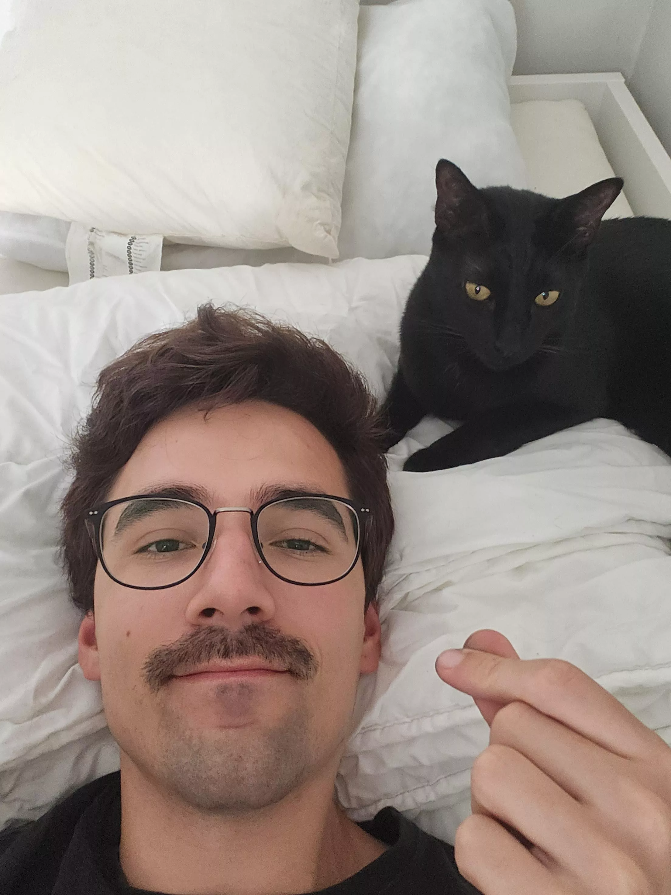Giving a moustache a try (bonus: Susto) posted by joaoperfig