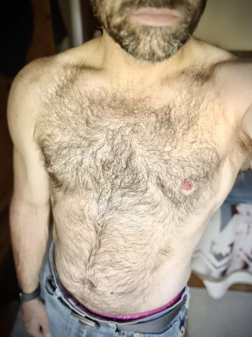 Love the afternoon lighting…join me for a walk? by Openwaterswim74