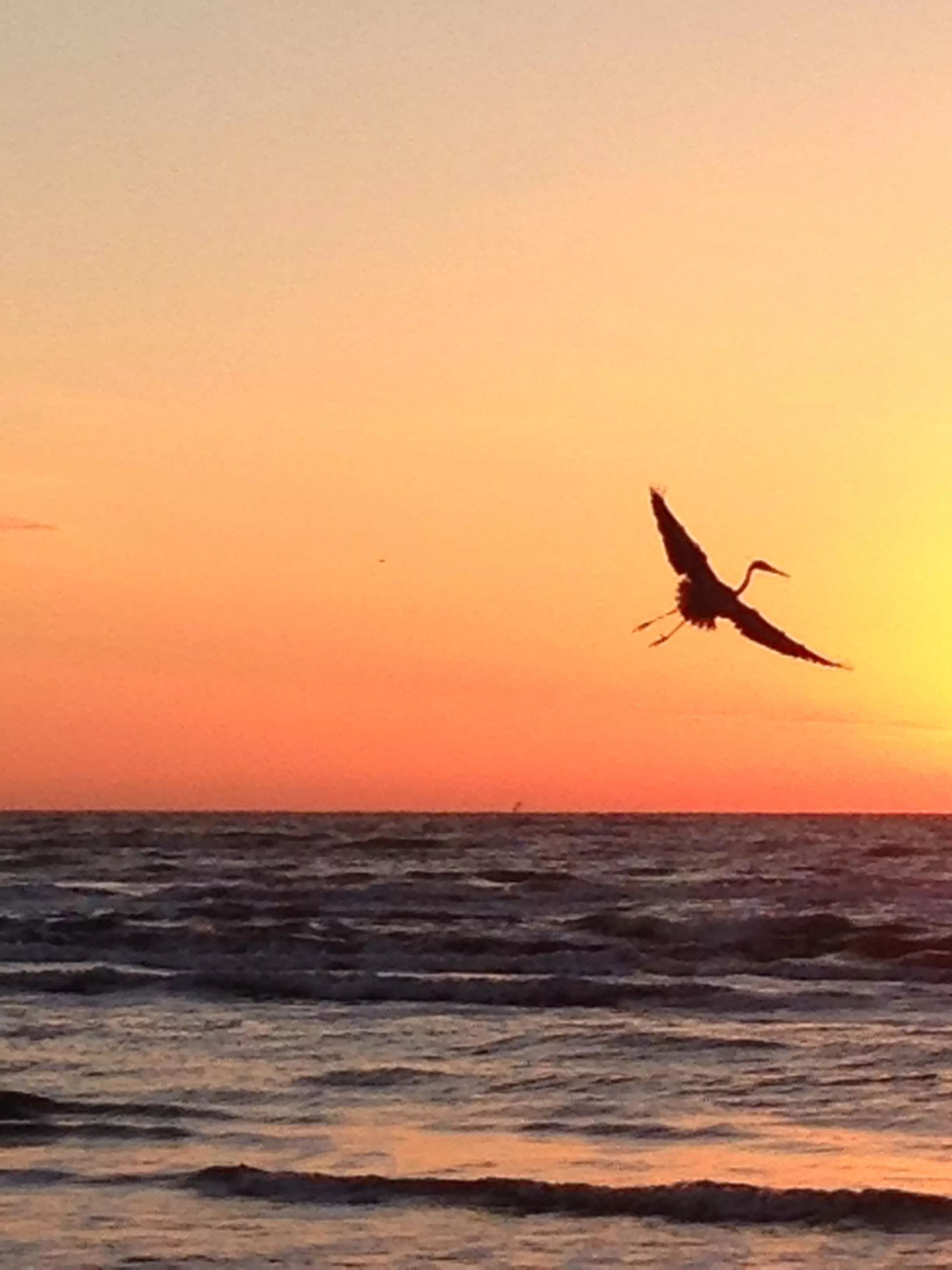 One of my favorite morning pics posted by Ag172317