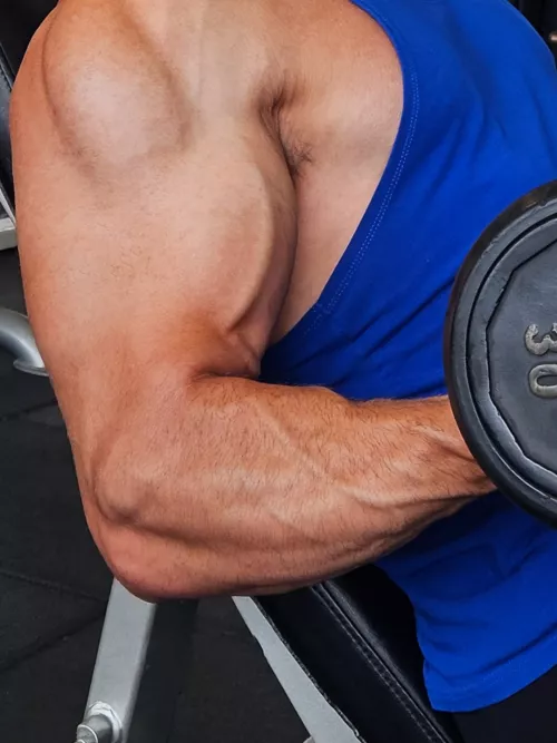 Gains 😈 by John_fitness91