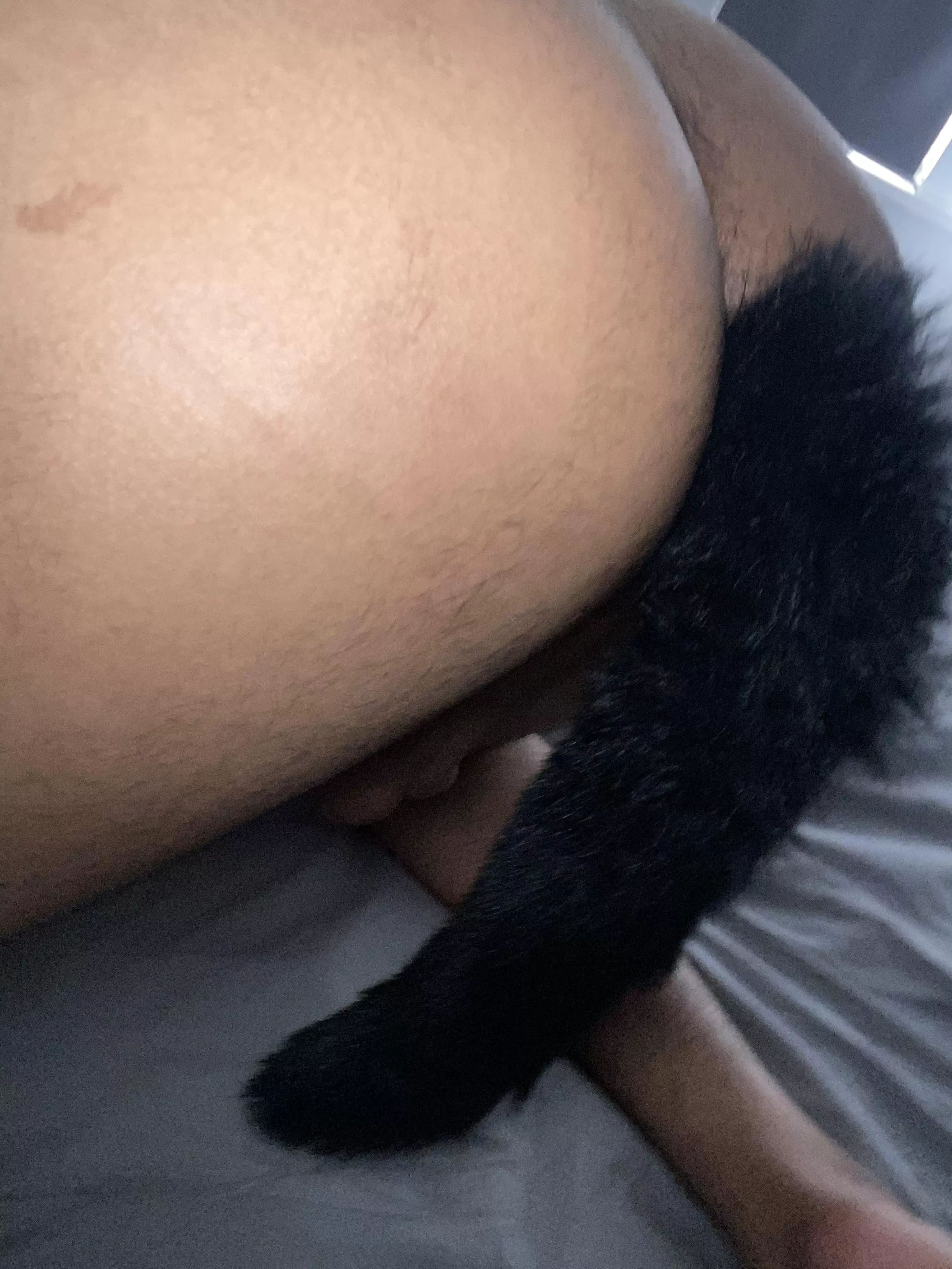 Sissy Tail posted by Head-Oven-1639