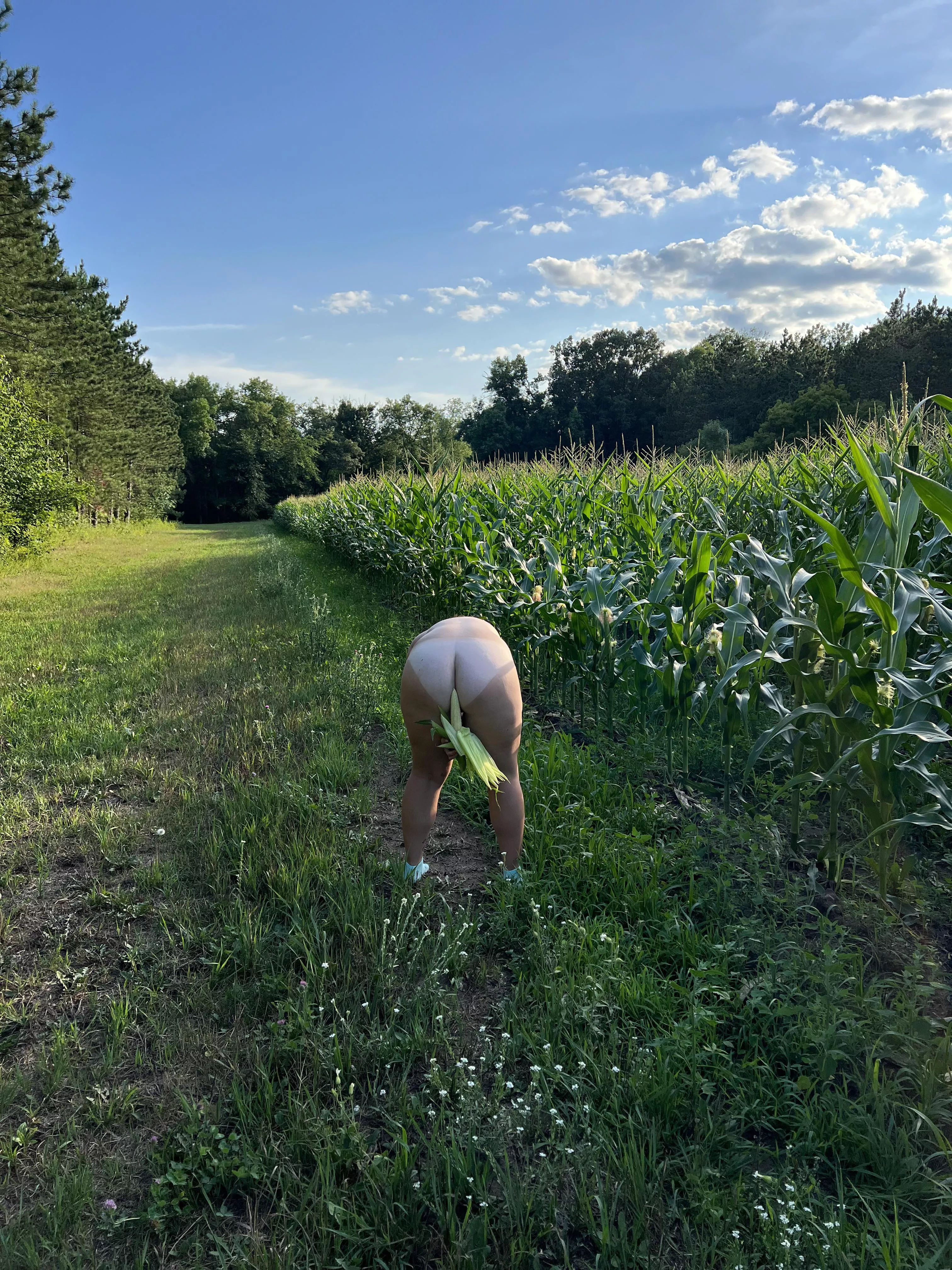 So… hear me out… this may get a little wild… posted by Northern_couple_