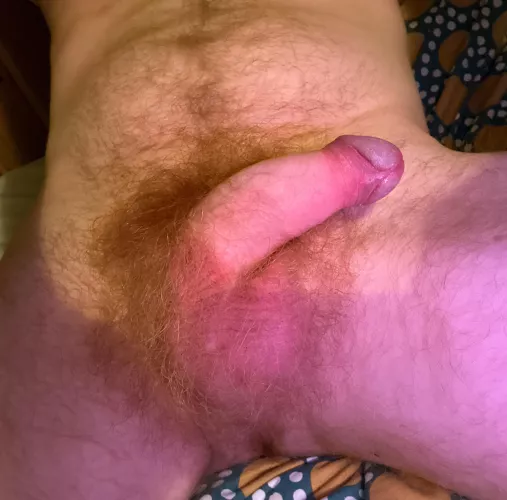 Uncut ginger by [deleted]