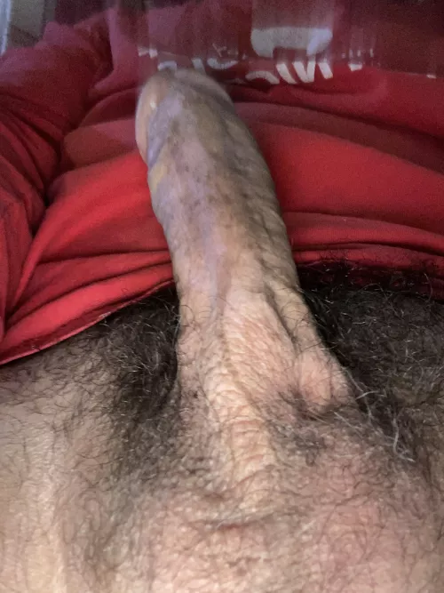 (63) finished mowing. Now what? by ramrod4u00069