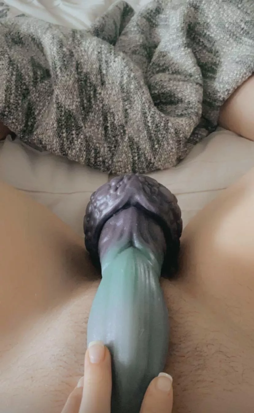 Me and ol’ Nox here having some morning fun! posted by blindfoldedwife88