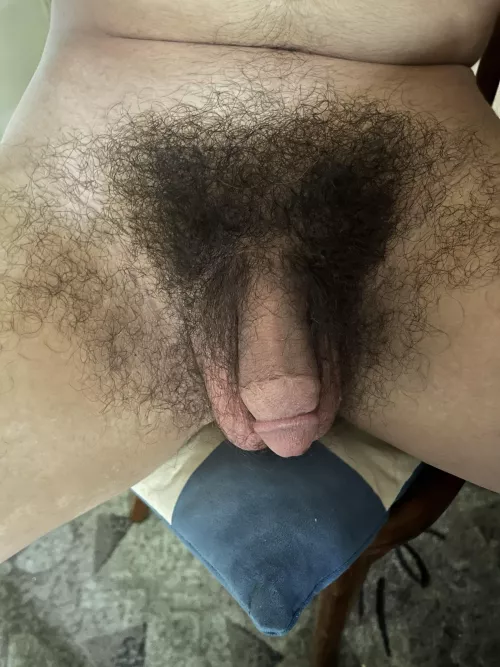 Sitting down by Dadsandaboy