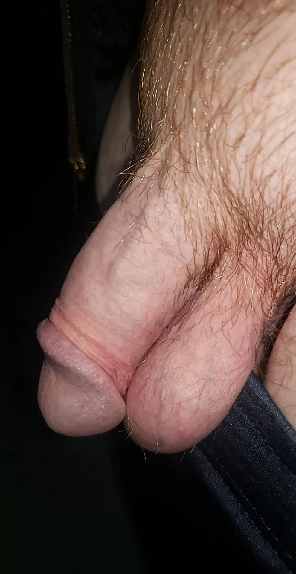 Who wants to make me hard? posted by gnomehunter734