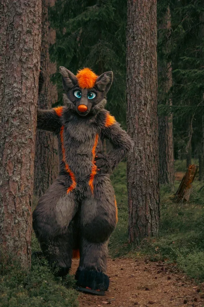 Wild Wolf [Photo by: Kawi] posted by FullForceUral