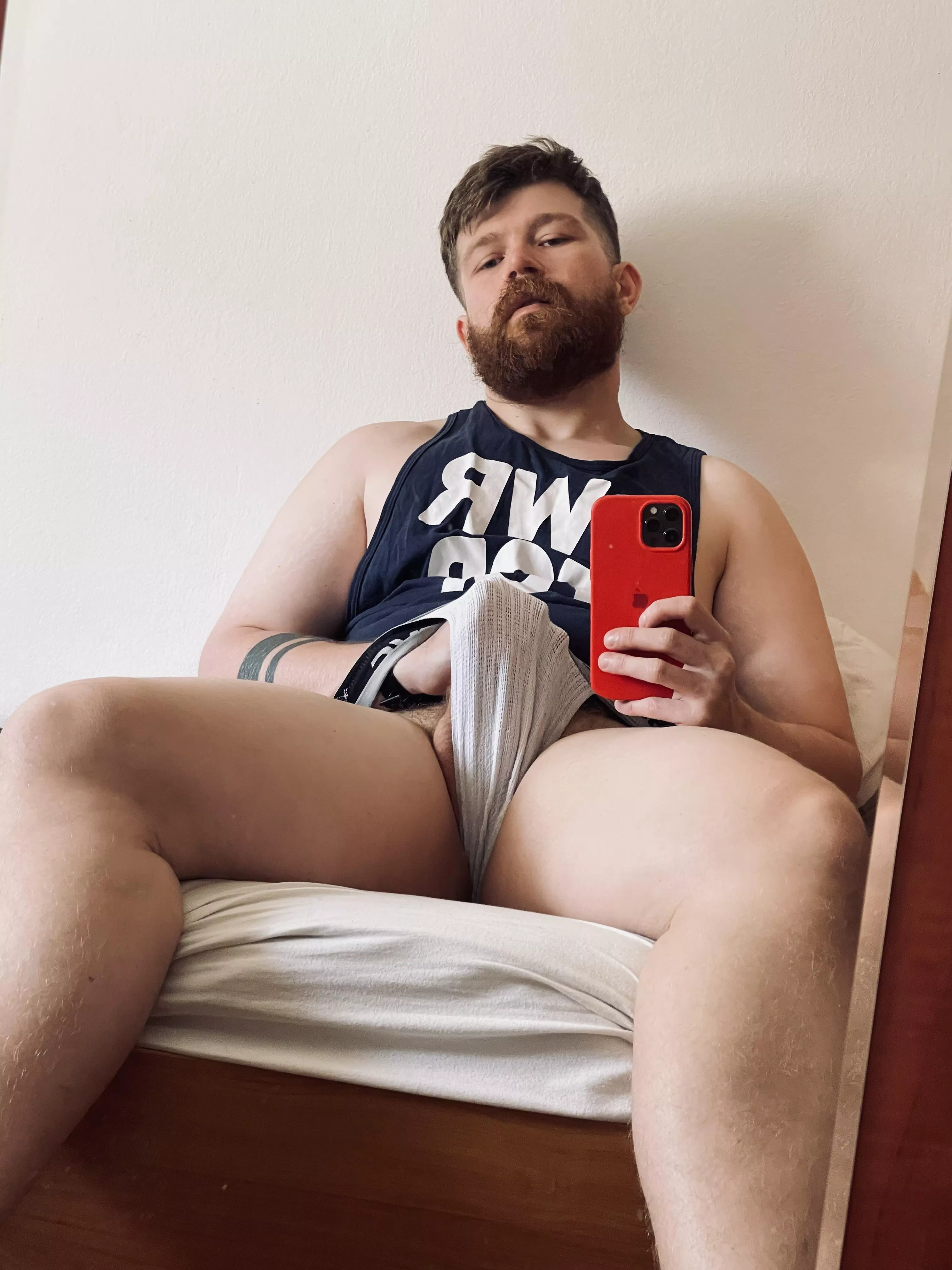 Big cub, big D… posted by xam276